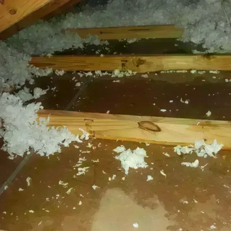 Attic Water Damage in Rugby, ND